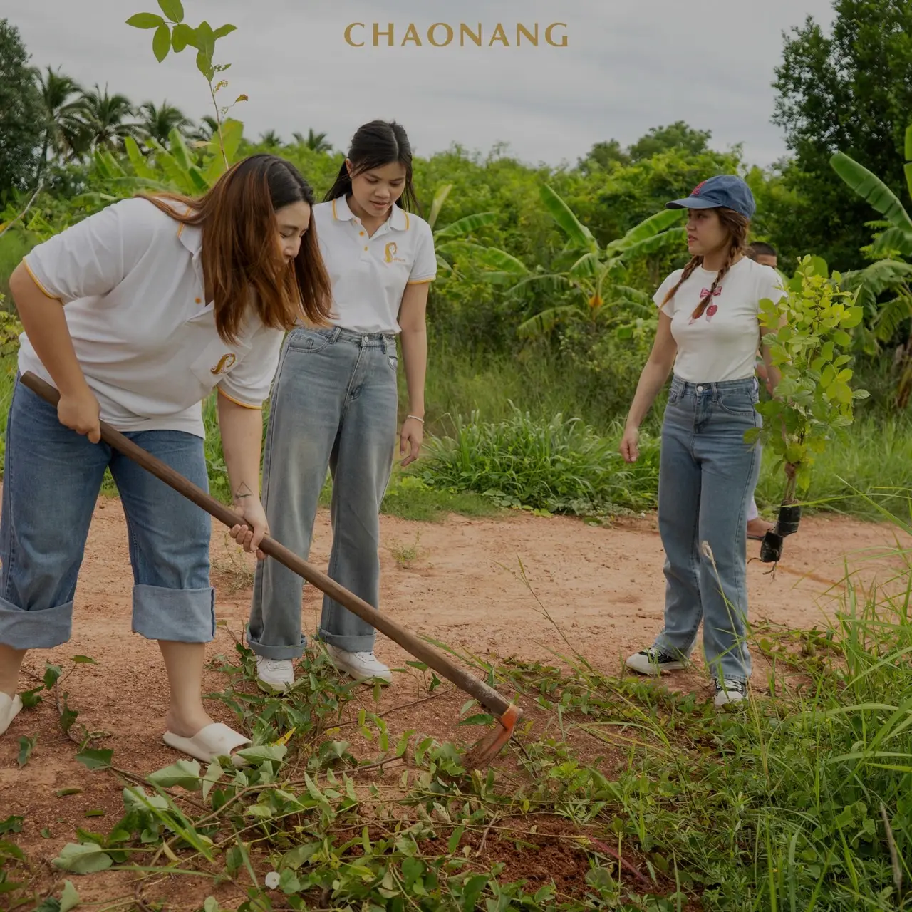 เจ้านาง ปลูกป่า 1