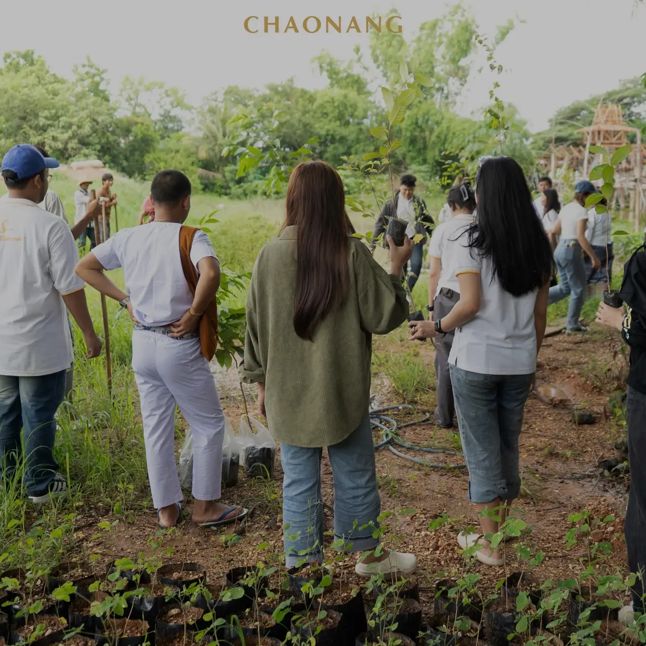 เจ้านาง ปลูกป่า 14