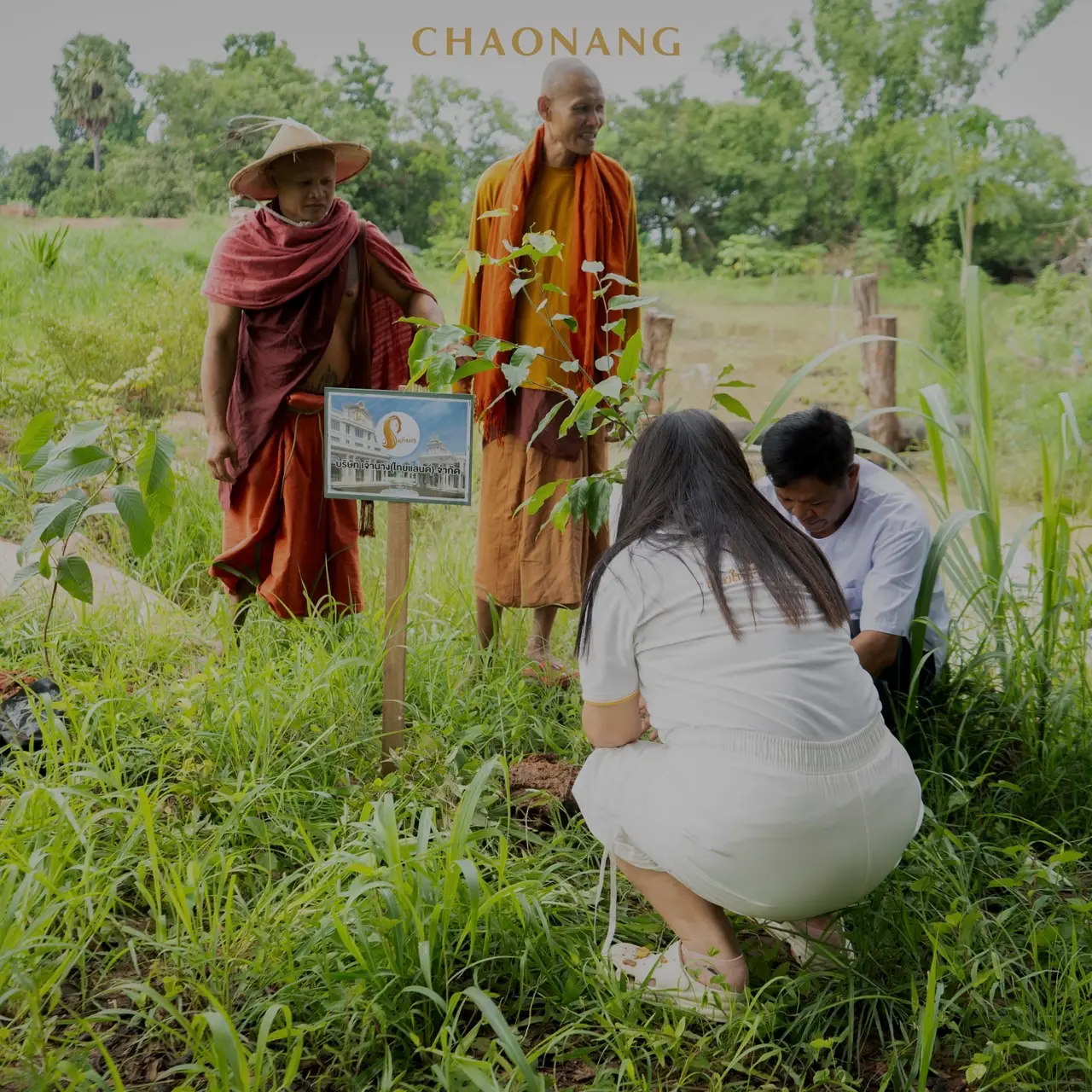 เจ้านาง ปลูกป่า 15