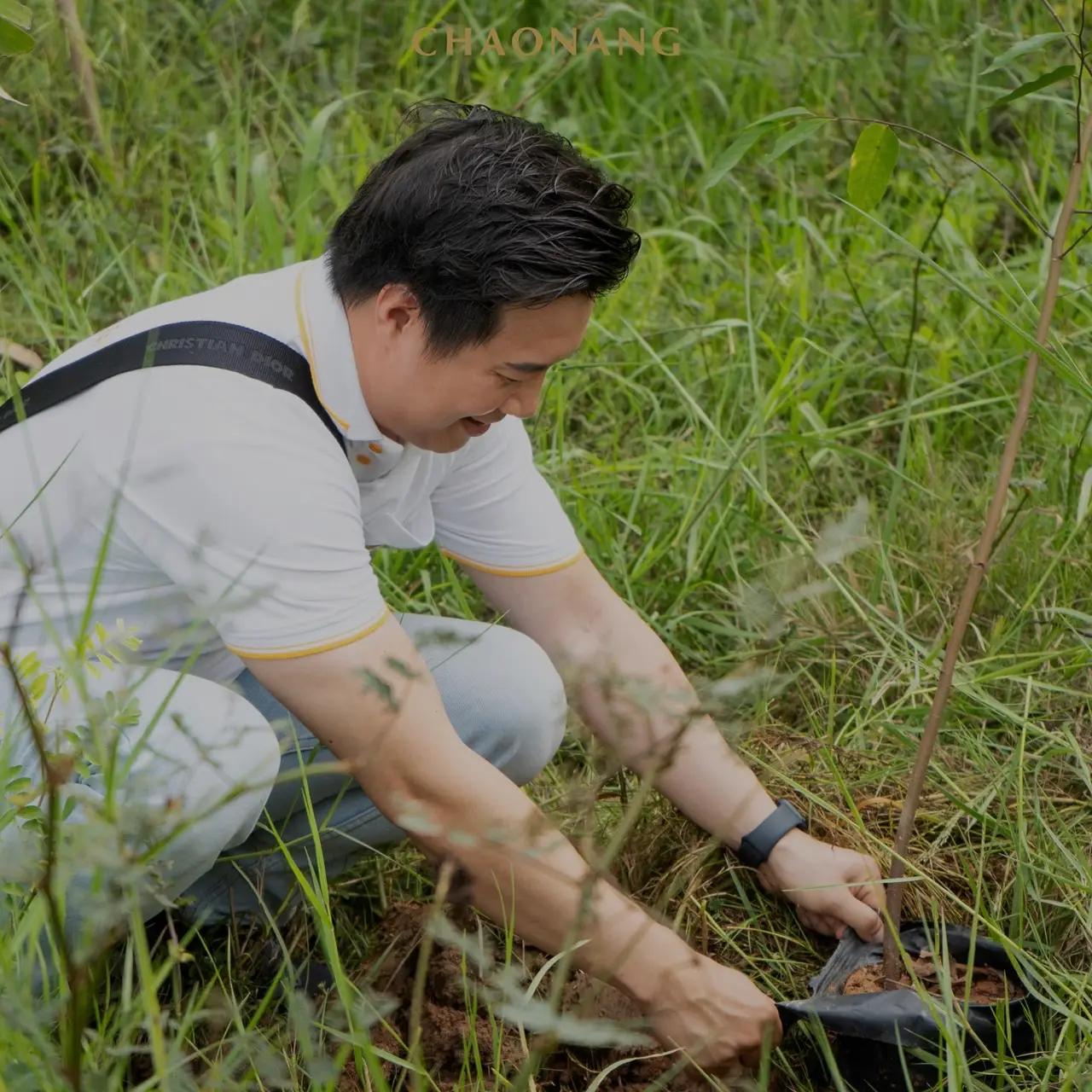 เจ้านาง ปลูกป่า 17