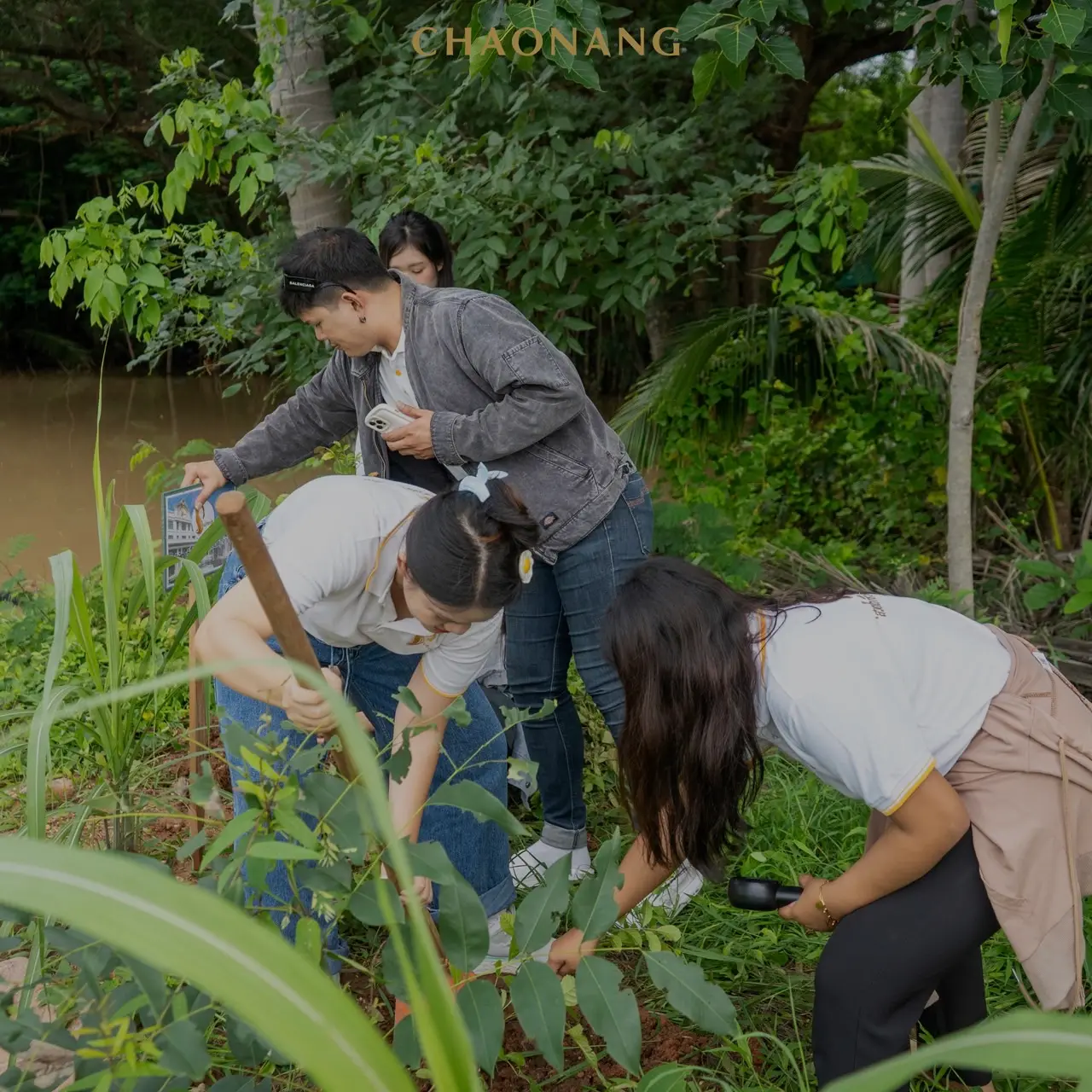 เจ้านาง ปลูกป่า 19