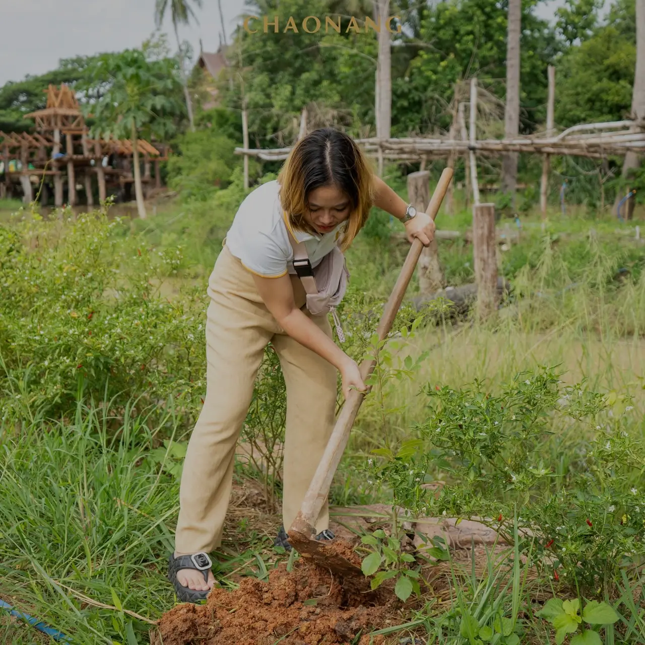 เจ้านาง ปลูกป่า 21