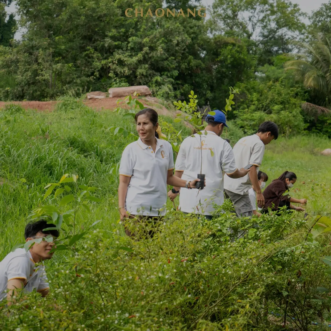 เจ้านาง ปลูกป่า 22