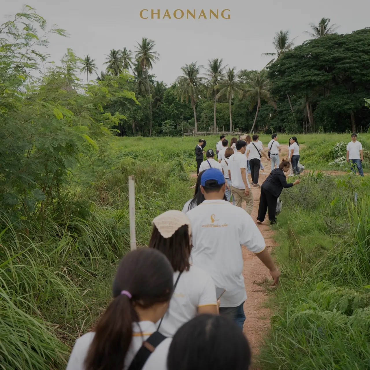 เจ้านาง ปลูกป่า 26