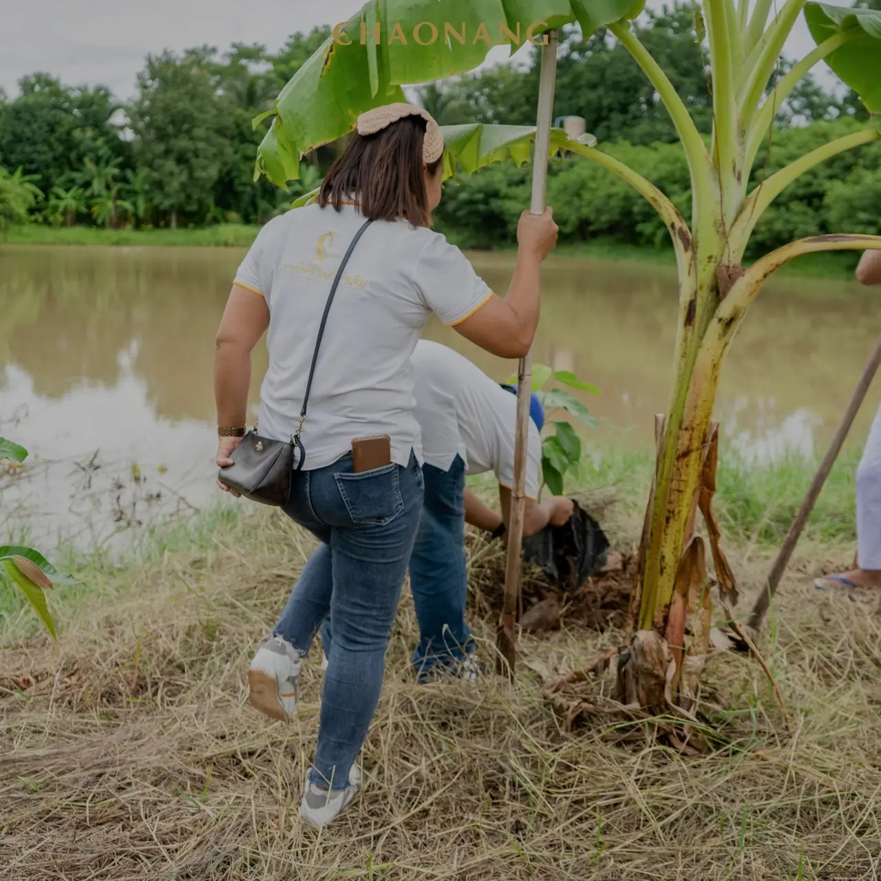 เจ้านาง ปลูกป่า 27