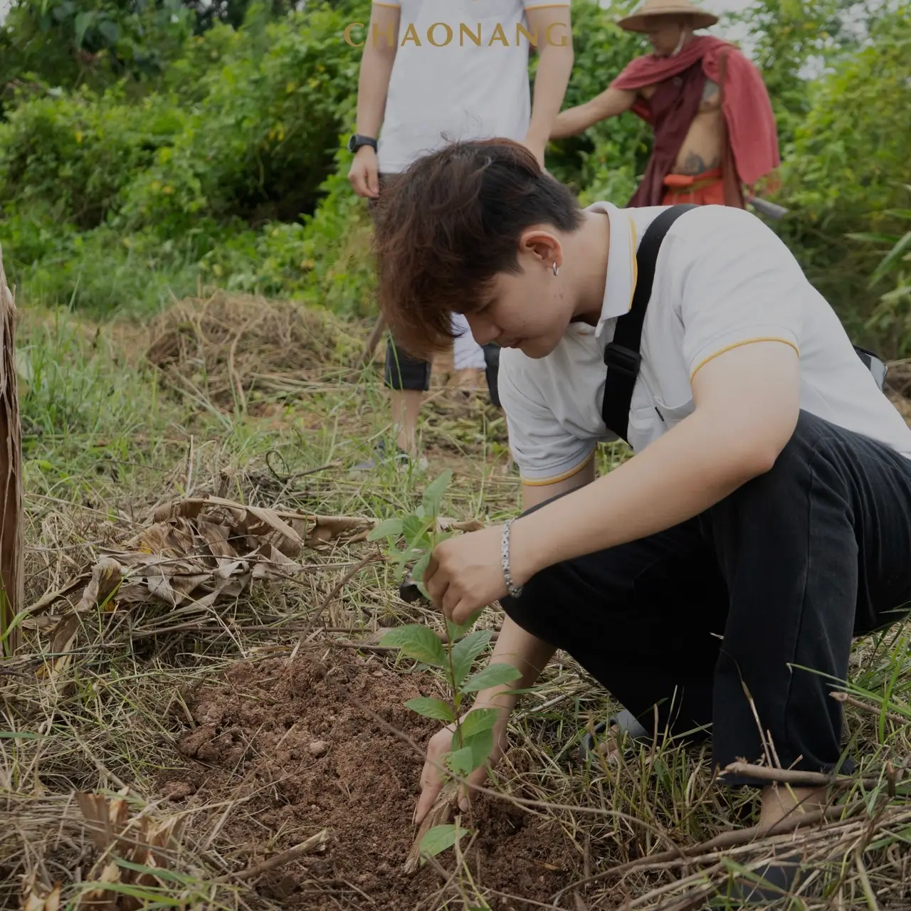 เจ้านาง ปลูกป่า 28