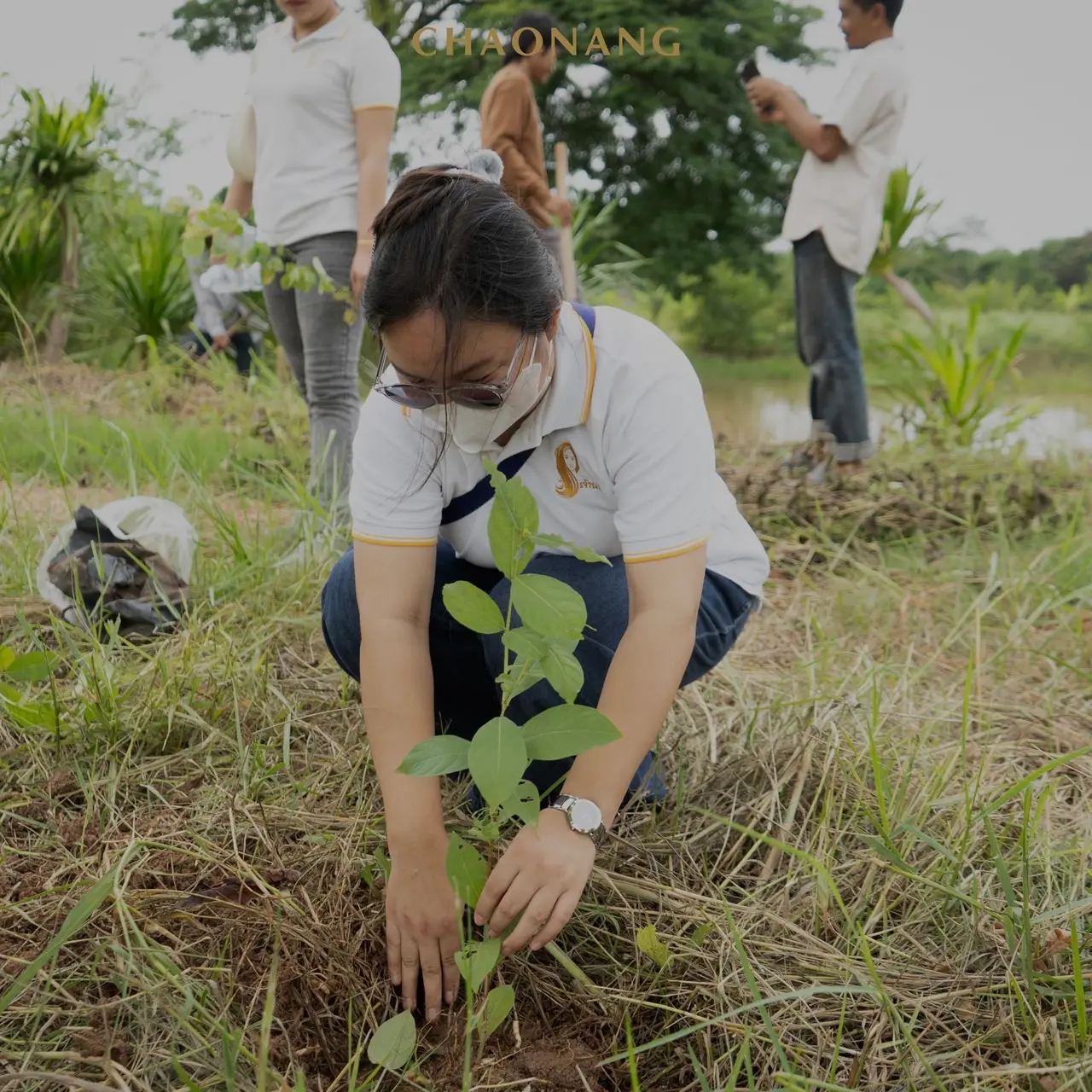 เจ้านาง ปลูกป่า 29