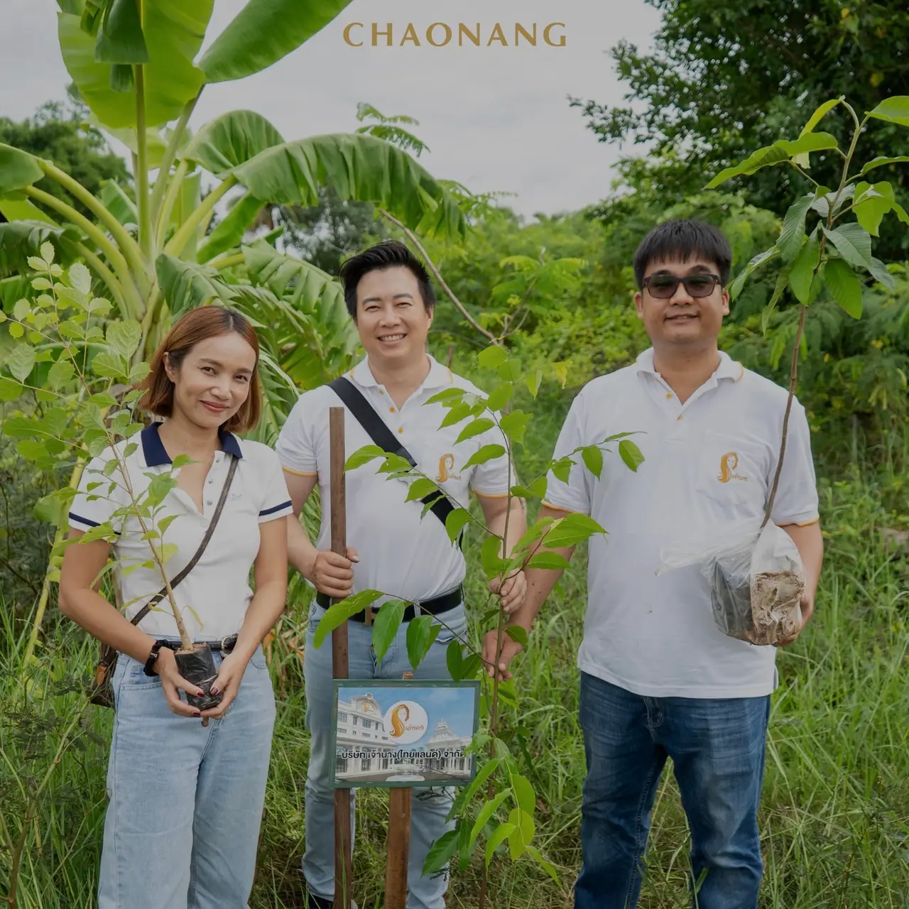 เจ้านาง ปลูกป่า 31