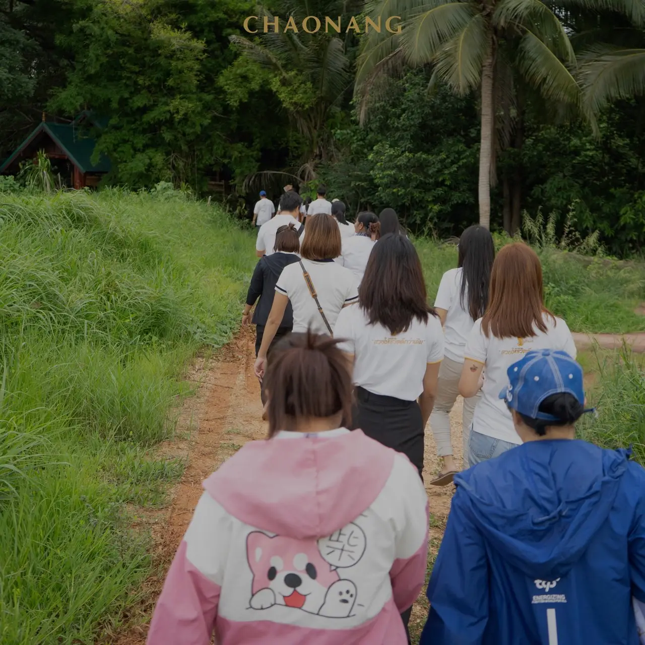 เจ้านาง ปลูกป่า 33