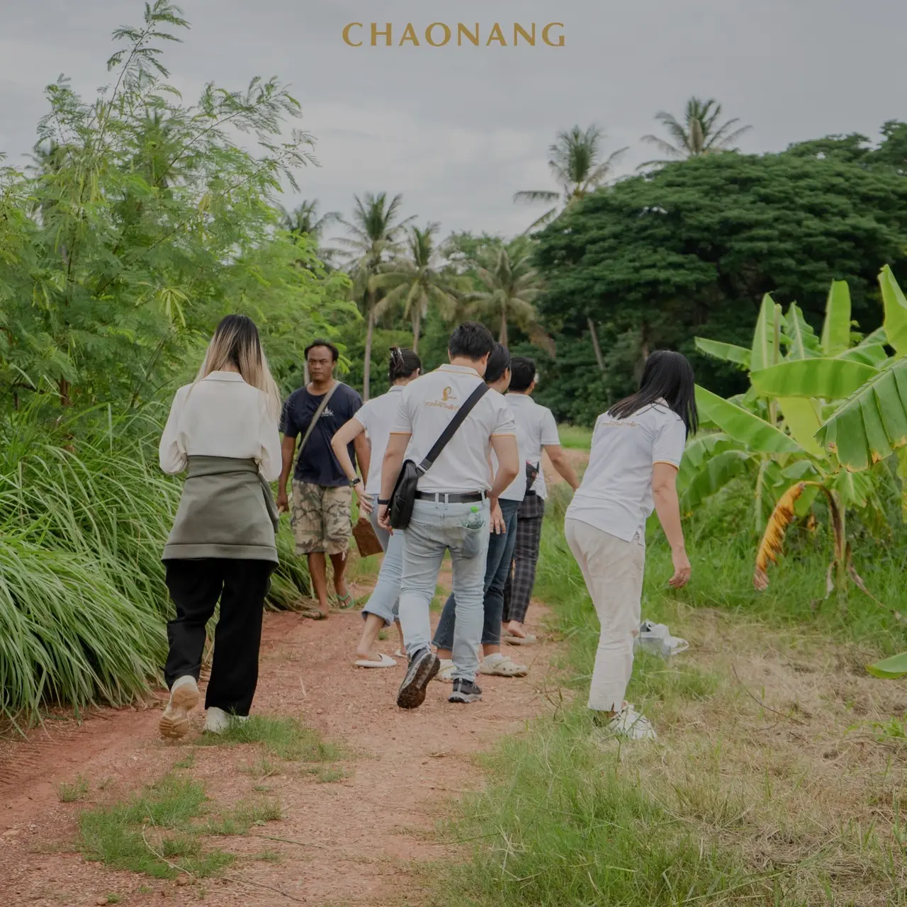 เจ้านาง ปลูกป่า 34