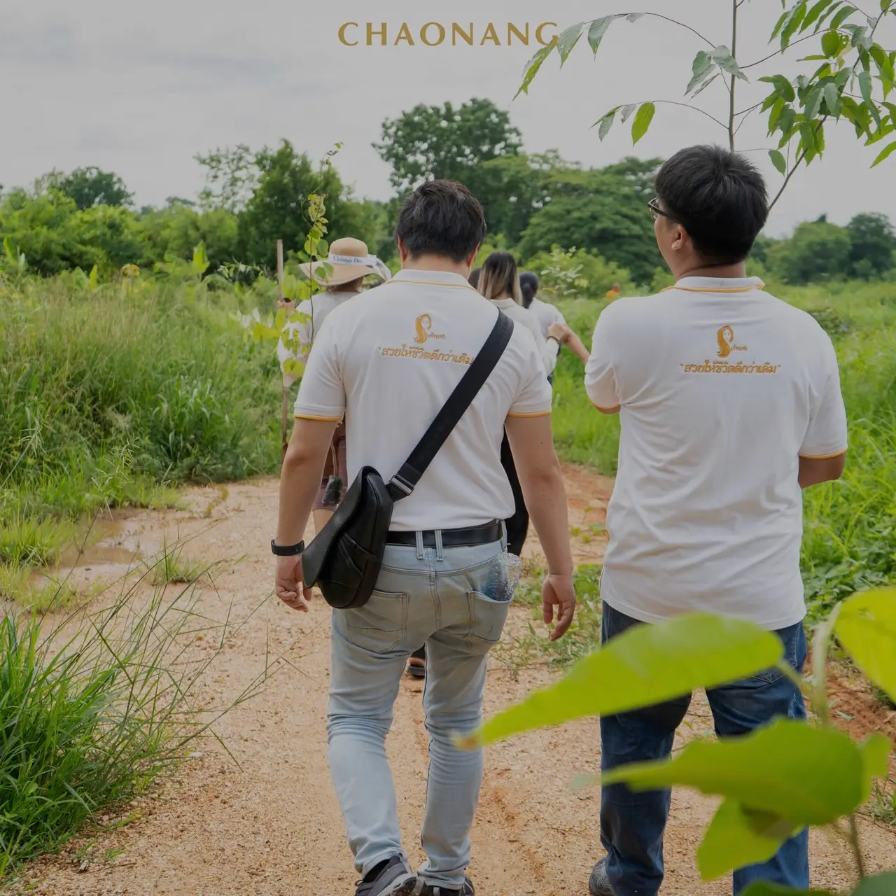 เจ้านาง ปลูกป่า 5