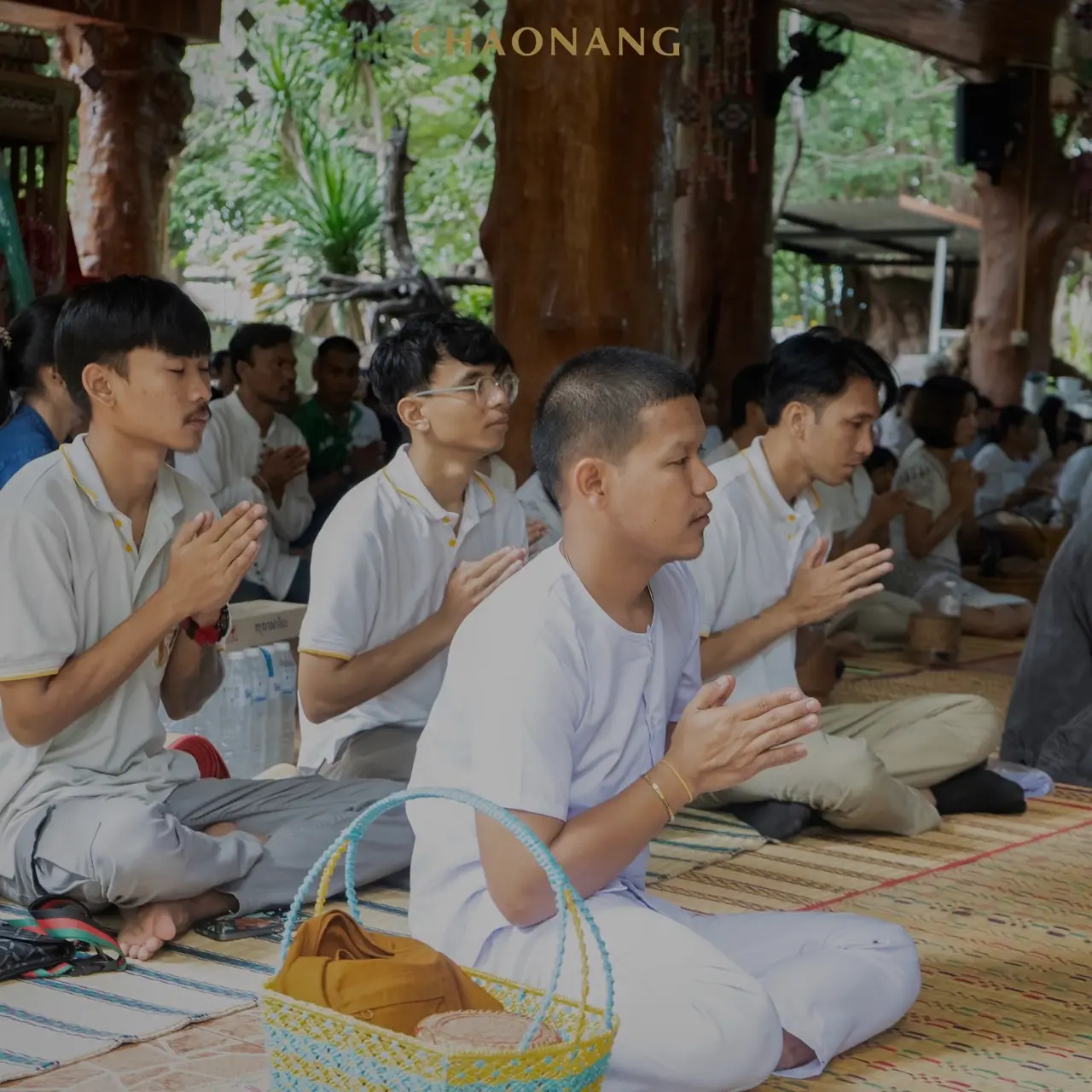 เจ้านาง ปลูกป่า 50 1