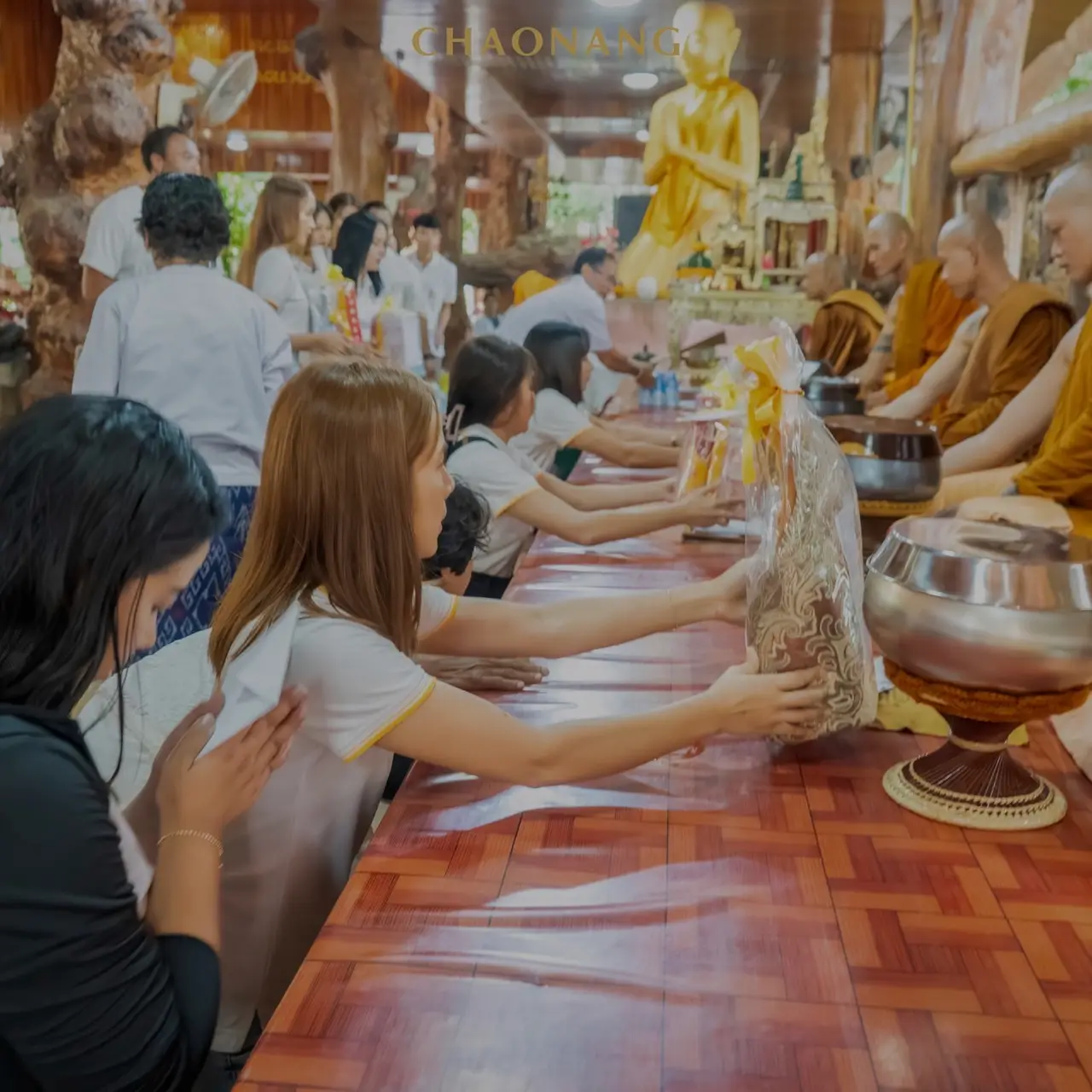 เจ้านาง ปลูกป่า 50 3