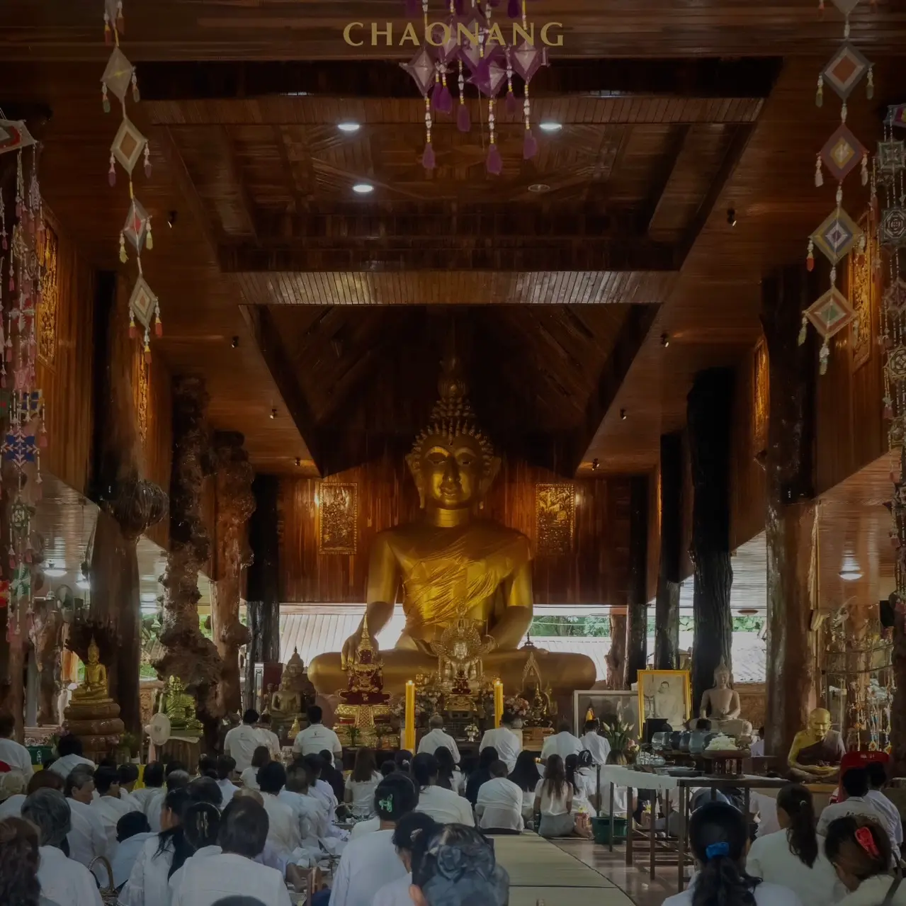 เจ้านาง ปลูกป่า 50 4