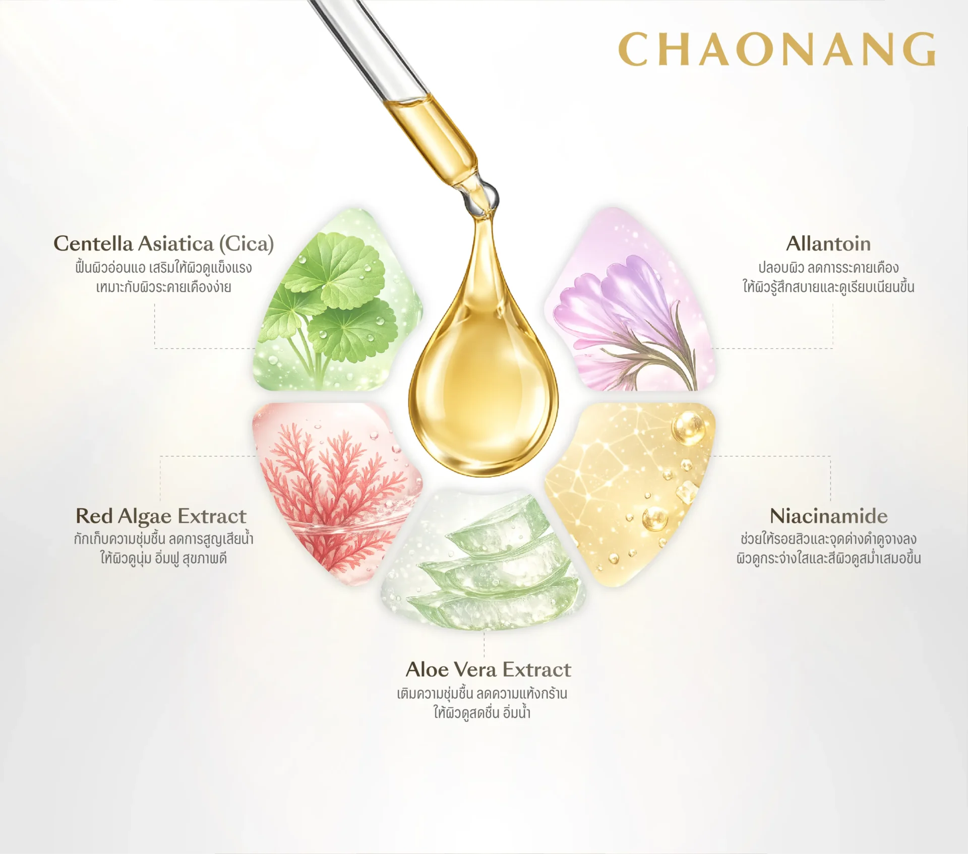 Chaonang Centella Facial Serum ปลอบประโลมผิว บ่มบำรุงให้แข็งแรงจากภายใน
